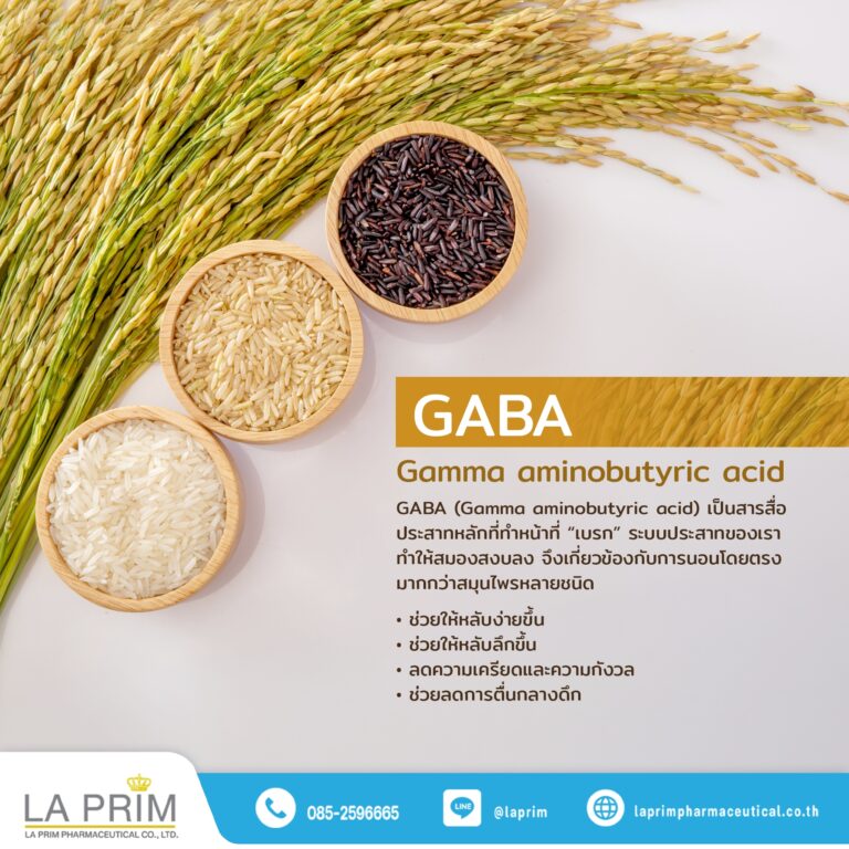 สารสกัด กาบา (Gaba)