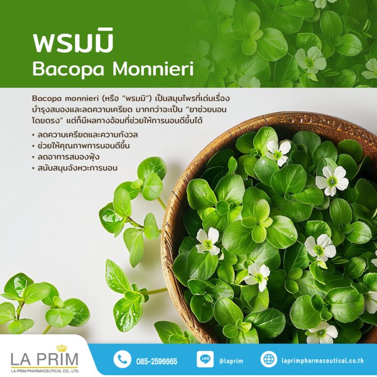 สารสกัดพรมมิ (Bacopa Monnieri Extract)